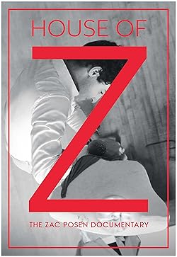 Poster of House of Z