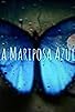 Primary photo for La Mariposa Azul
