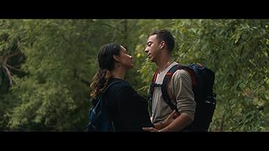 पोस्टर देखें