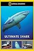 Primary photo for Ultimate Shark Primary photo for Ultimate Shark