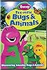 Primary photo for Barney: Tee-rific Bugs & Animals