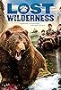 Primary photo for Lost Wilderness