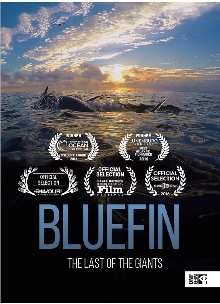 Bluefin 2016 WEBRip 720p.mp4 Bluefin 2016 WEBRip 720p.mp4