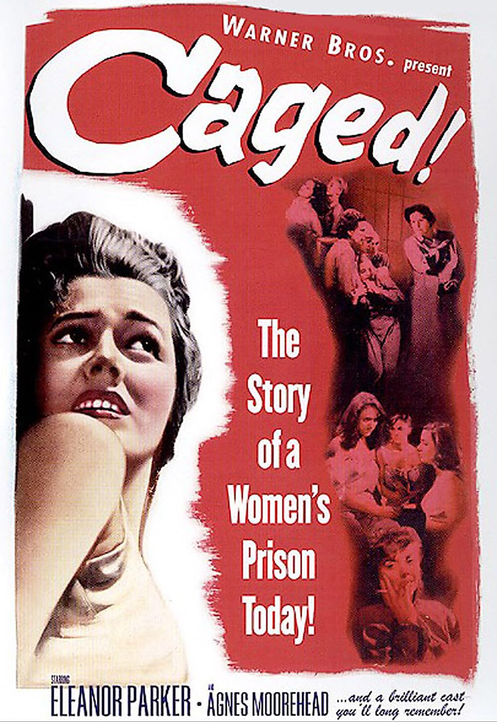 Caged (1950) - Awards - IMDb