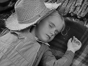 पोस्टर देखें