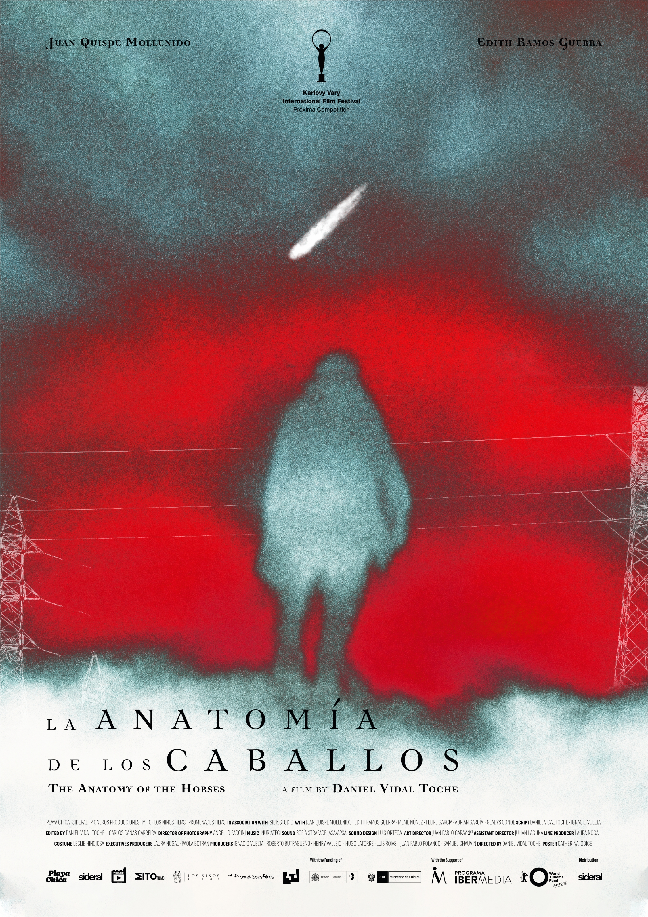 La anatomía de los caballos