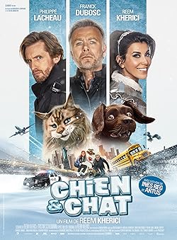 Poster of Chien et chat