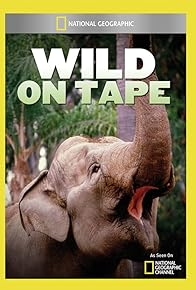 Primary photo for Wild on Tape