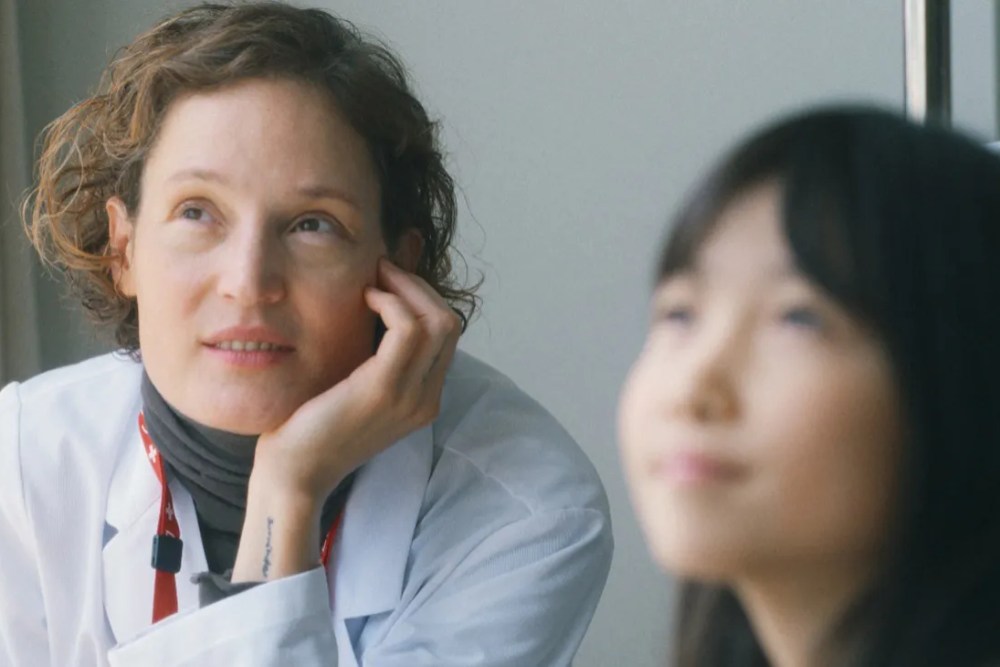 Yakushima's Illusion