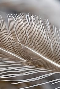 Primary photo for The Feather