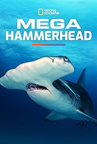Primary photo for Mega Hammerhead Primary photo for Mega Hammerhead