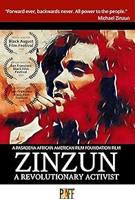 Primary photo for Zinzun: A Revolutionary Activist