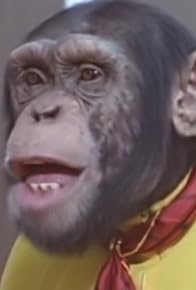 Primary photo for Landlubber Lance/The Temporary Thanksgiving Turkey Truce