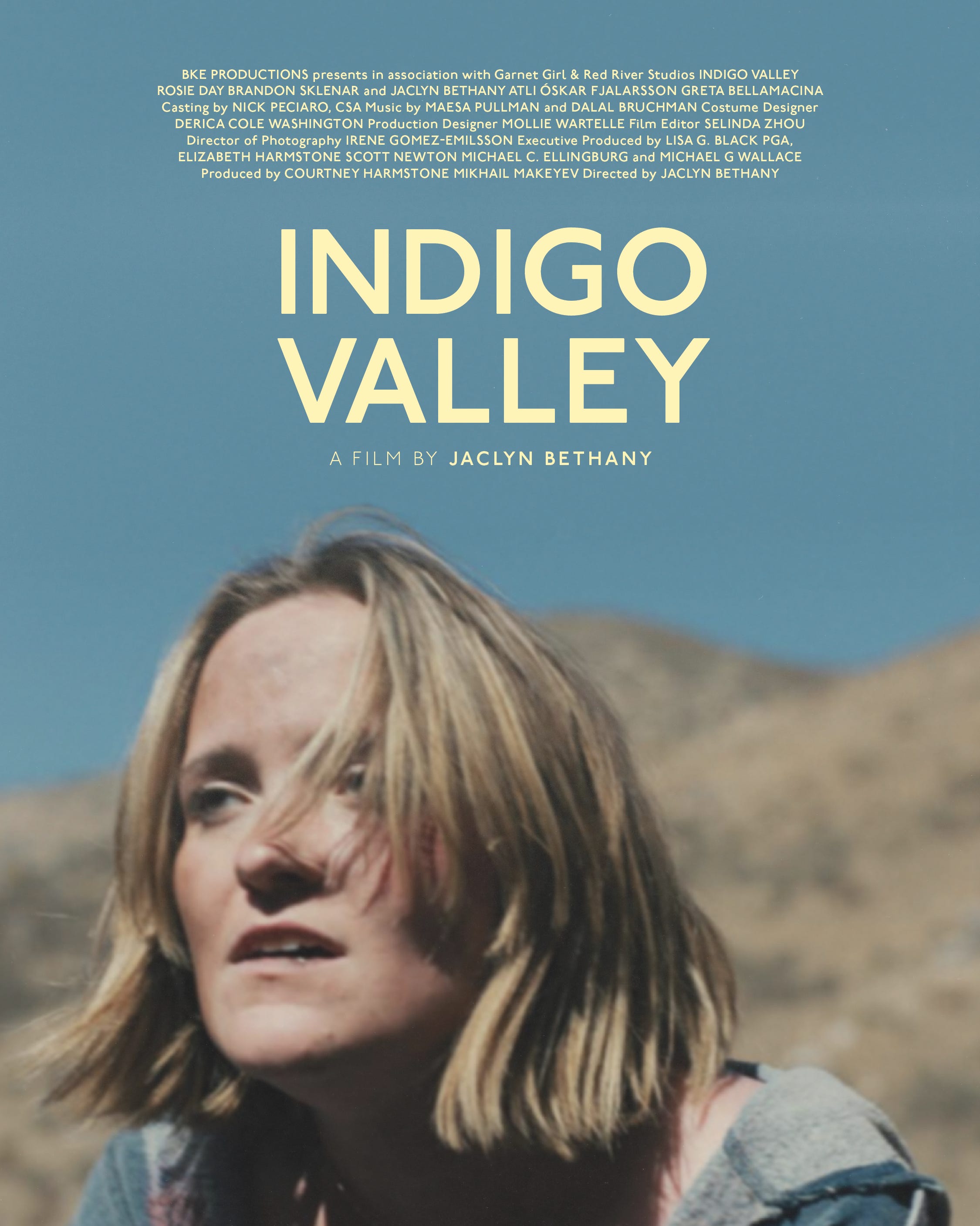 Poster of Indigo Valley