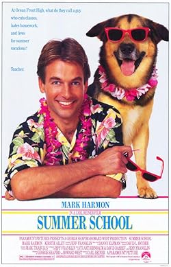 Poster of Summer School