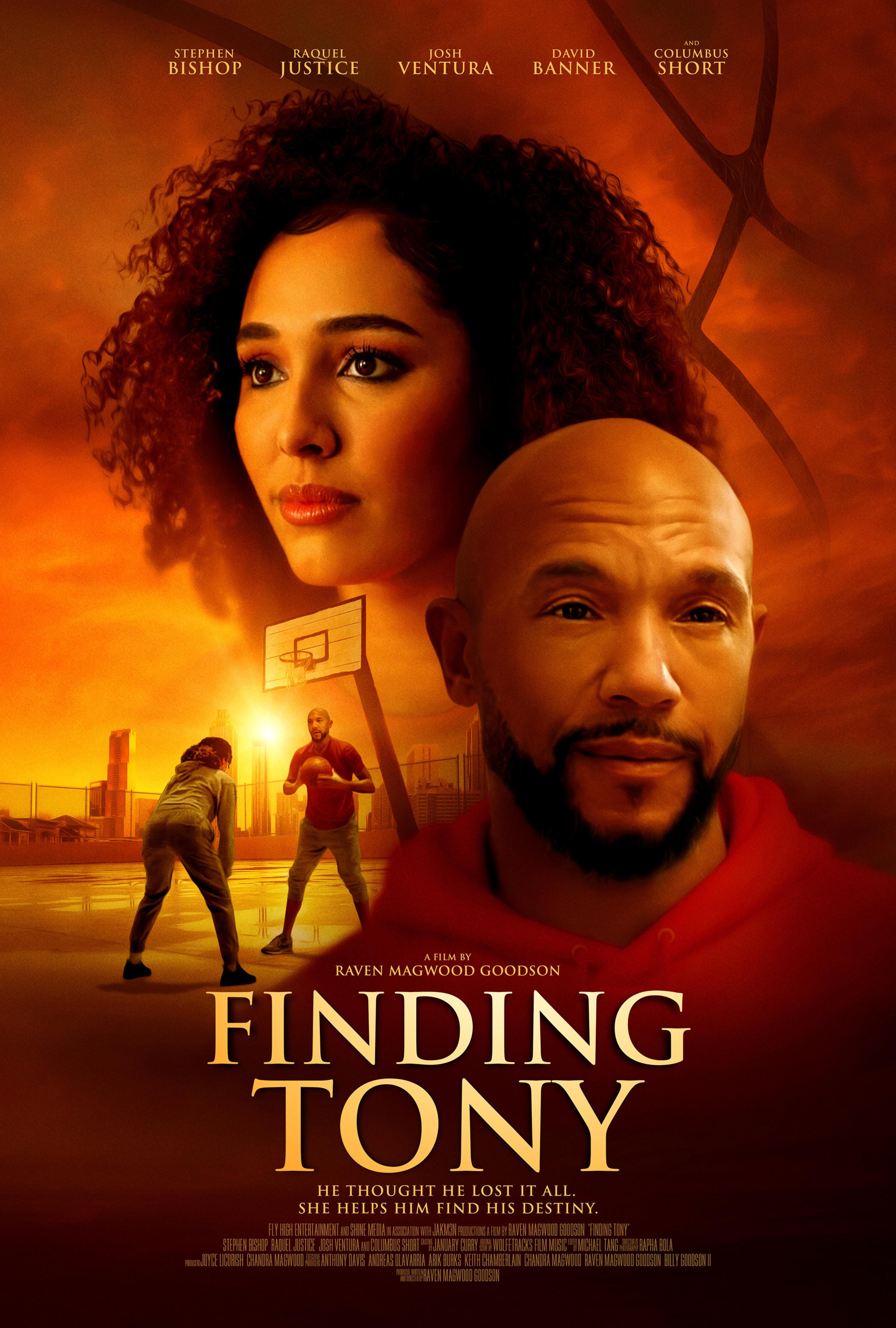Poster of Finding Tony