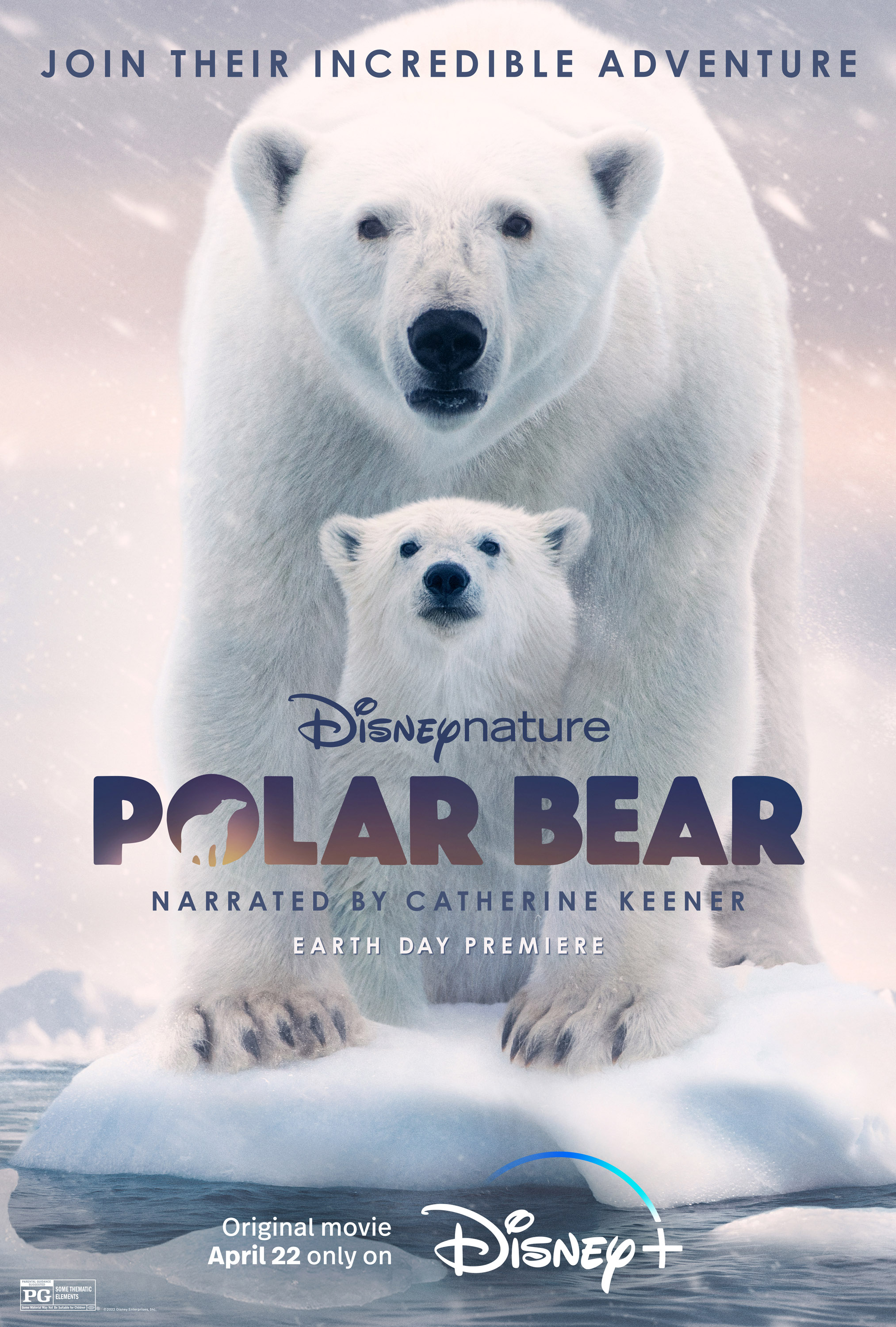 Poster of Polar Bear