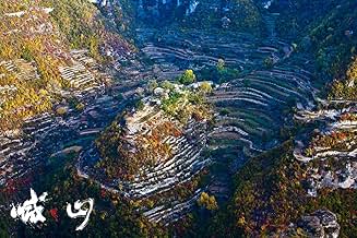 पोस्टर देखें