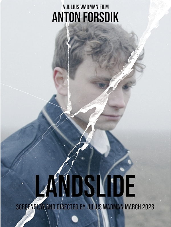 Movie poster for LANDSLIDE (UA rated)