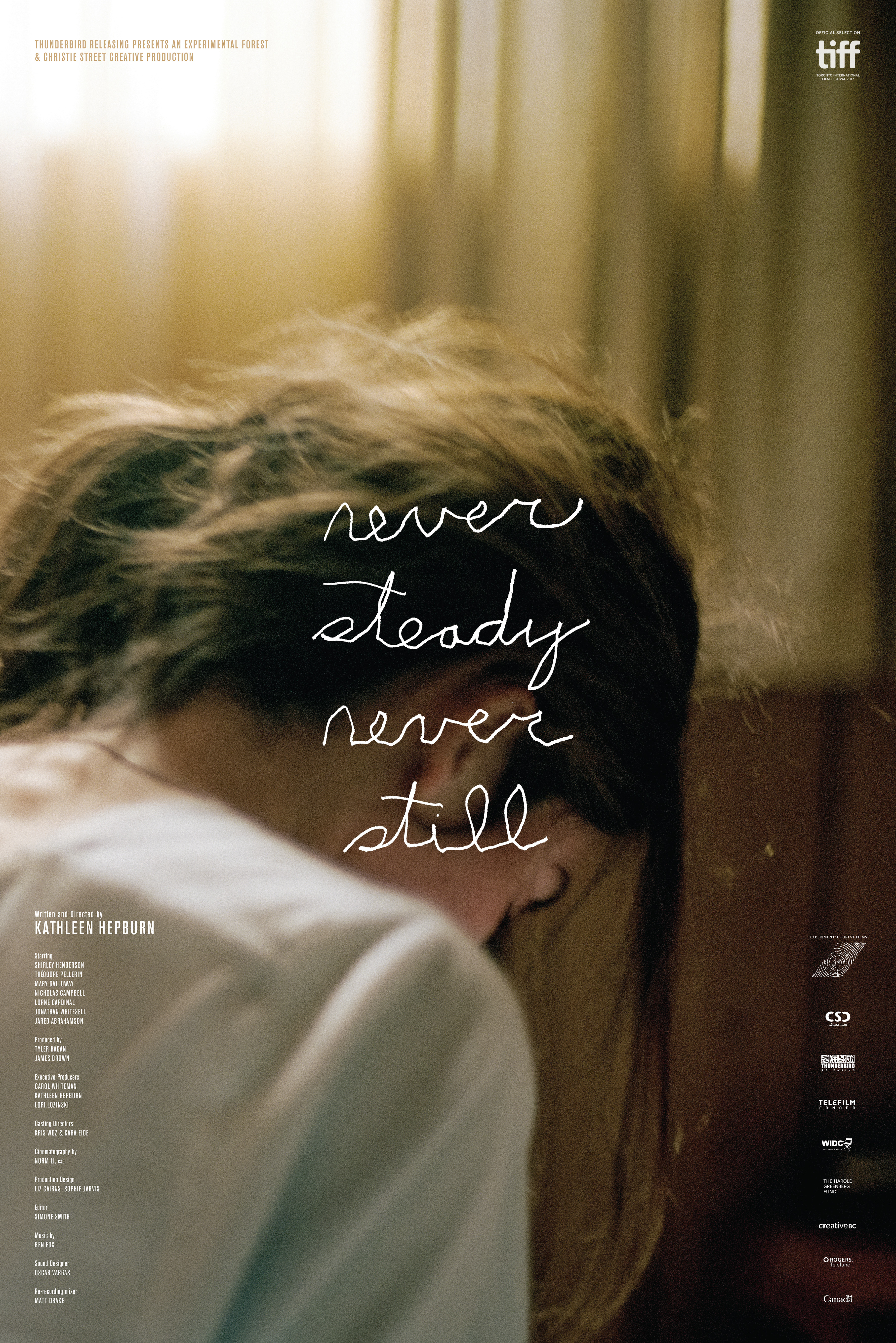 Poster of Never Steady, Never Still