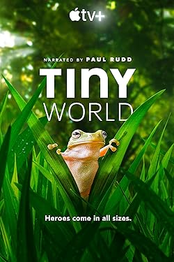 Poster of Tiny World
