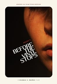 Primary photo for Before the Vinyl Stops