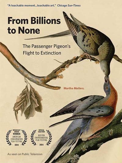 From Billions to None: The Passenger Pigeon's Flight to Extinction