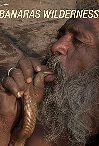 Primary photo for Banaras Wilderness