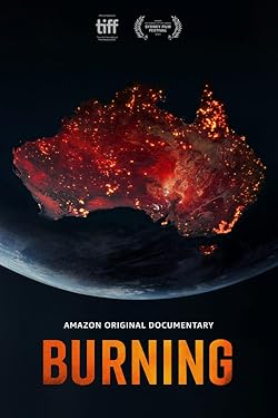 Poster of Burning