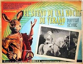 Voir l’affiche