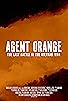 Primary photo for Agent Orange: The Last Battle