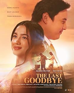 Poster of The Last Goodbye