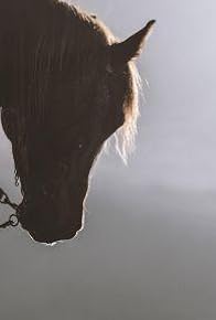 Primary photo for Equus: Story of the Horse: Chasing the Wind Primary photo for Equus: Story of the Horse: Chasing the Wind
