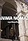 Anima nomade's primary photo