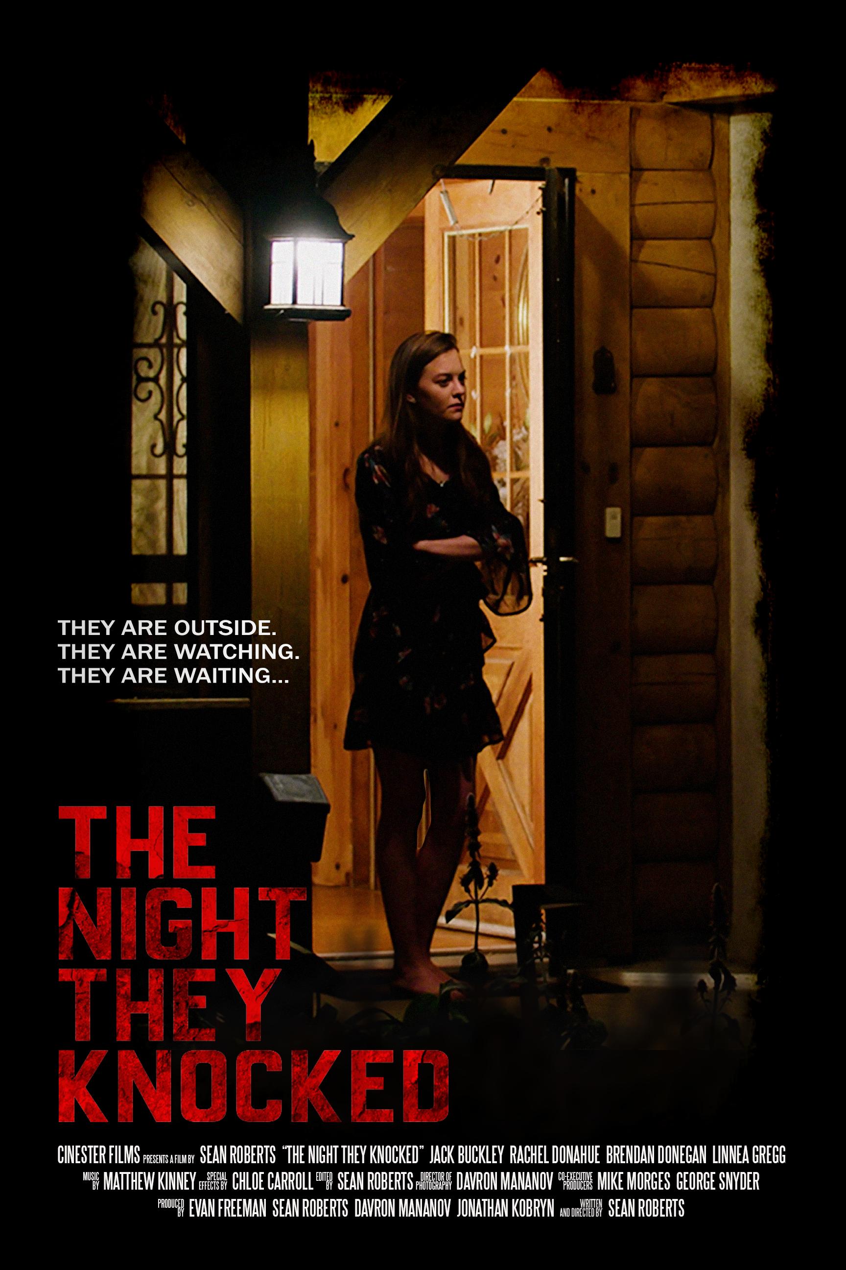 Poster of The Night They Knocked