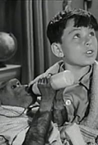 Primary photo for Beaver's Monkey