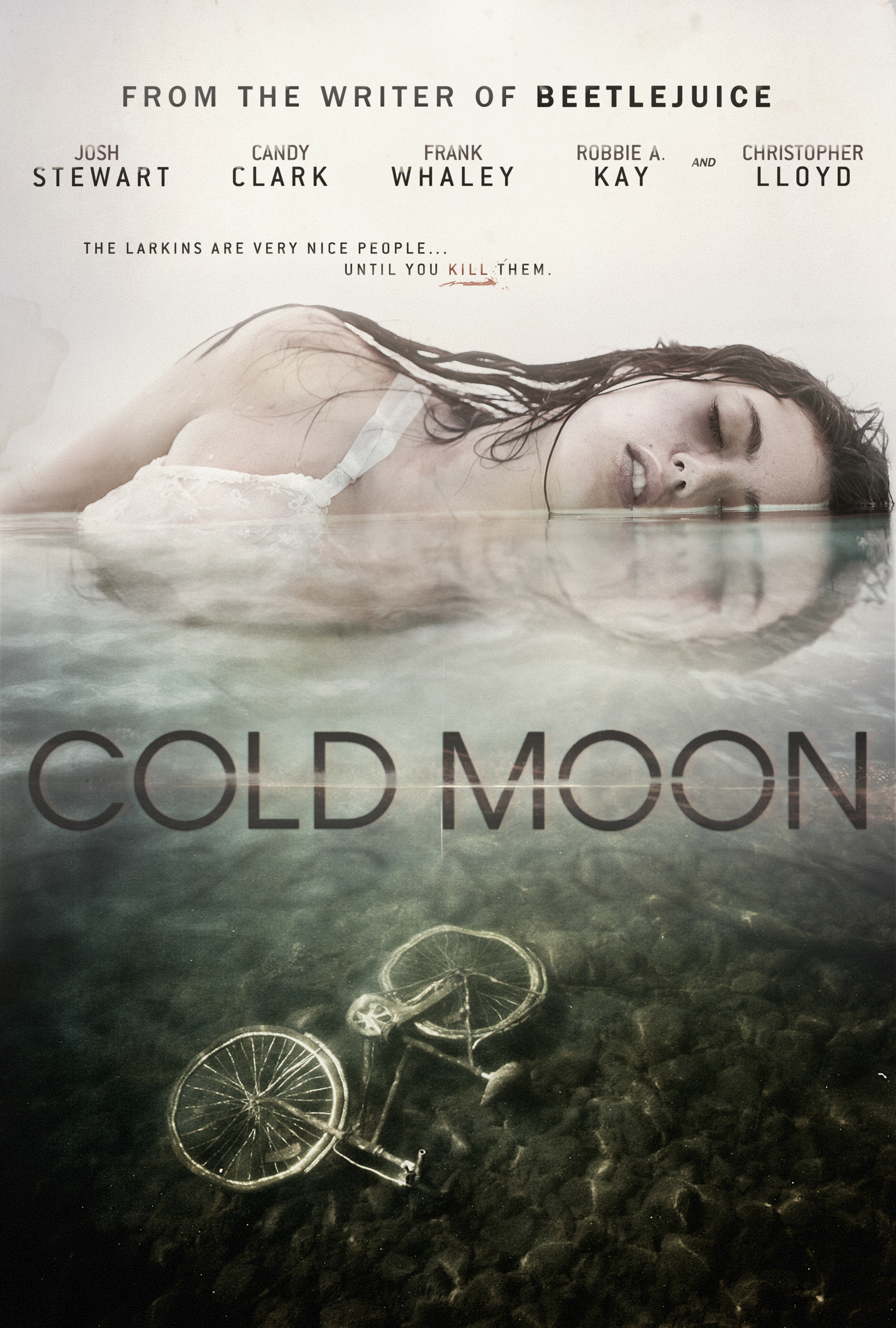 Poster of Cold Moon