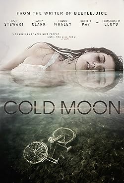 Poster of Cold Moon
