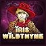 Primary photo for Wildthyme at Large Primary photo for Wildthyme at Large