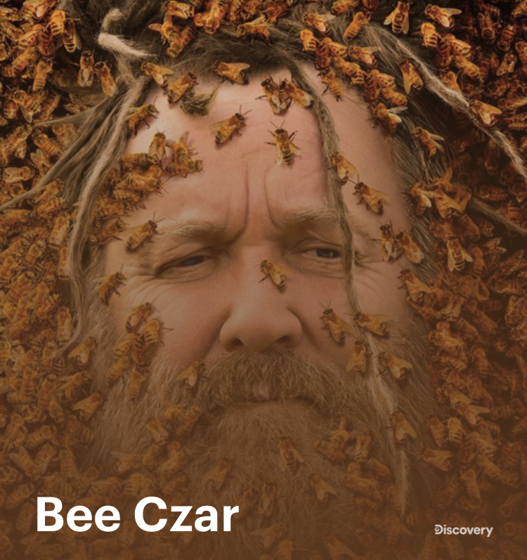 Poster of Bee Czar