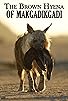 Primary photo for The Brown Hyena of Makgadikgadi