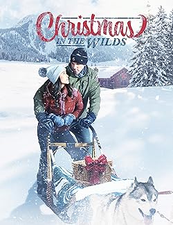 Poster of Christmas in the Wilds