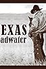 Primary photo for Texas Bad Water