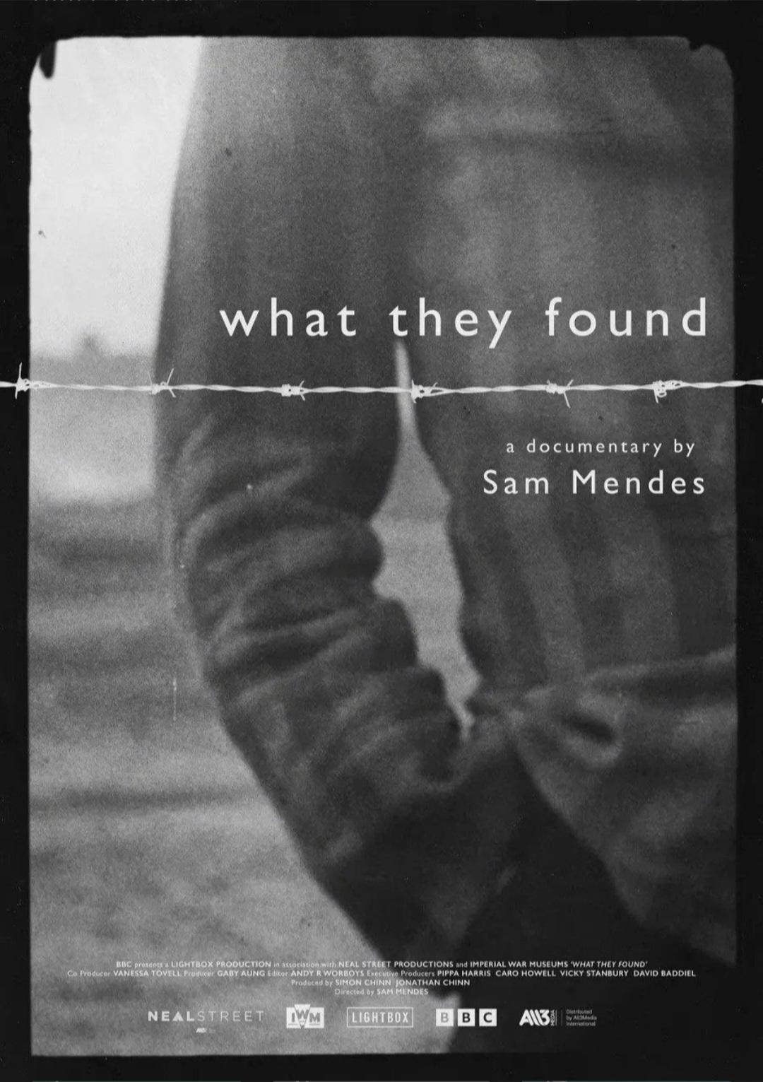 Poster of What They Found