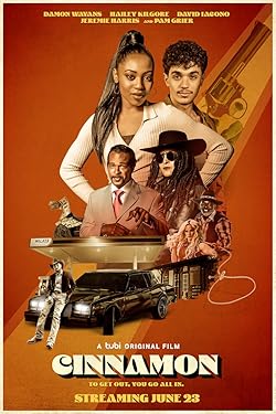 Poster of Cinnamon