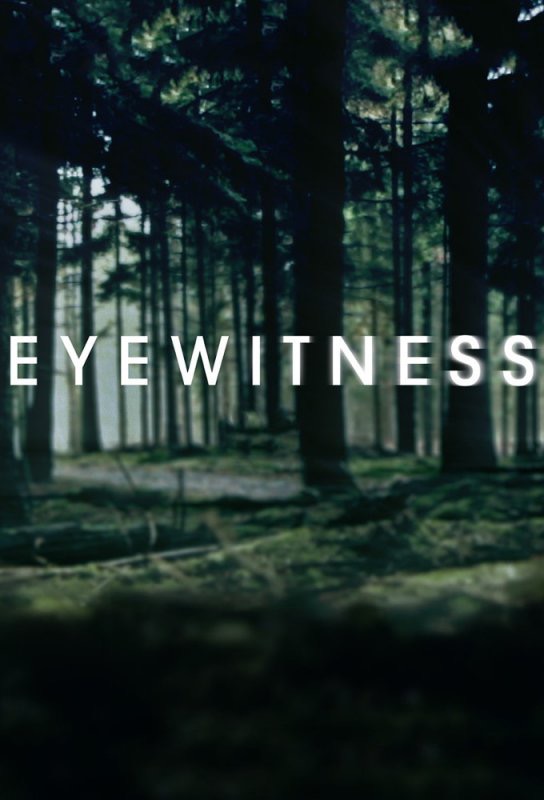 Eyewitness Poster