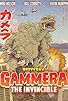 Primary photo for RiffTrax: Gammera the Invincible Primary photo for RiffTrax: Gammera the Invincible