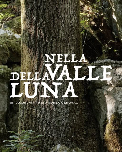 Nella valle della luna