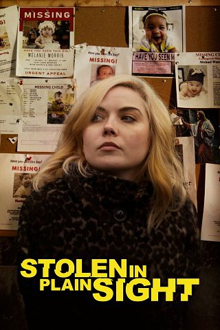 Poster of Stolen in Plain Sight