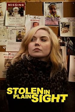 Poster of Stolen in Plain Sight